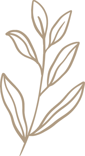 Plant Branch Illustration